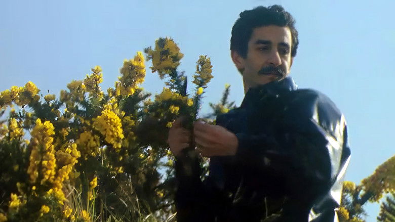 кадр из фильма Les Ajoncs