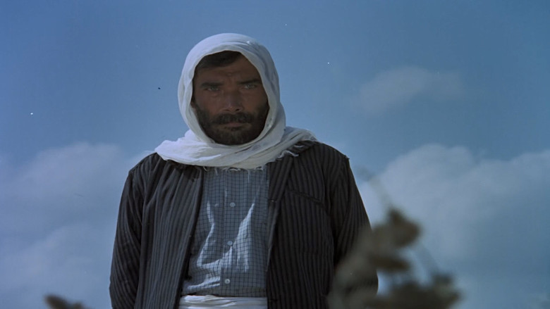 кадр из фильма Тревога