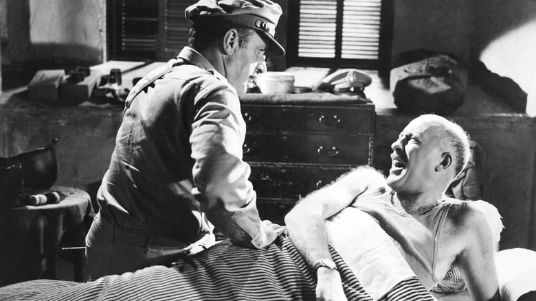 кадр из фильма Джо Батерфляй