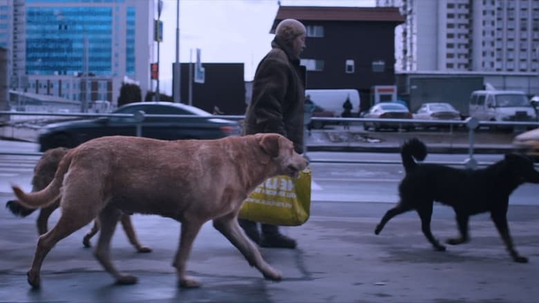 кадр из фильма Dreaming Dogs