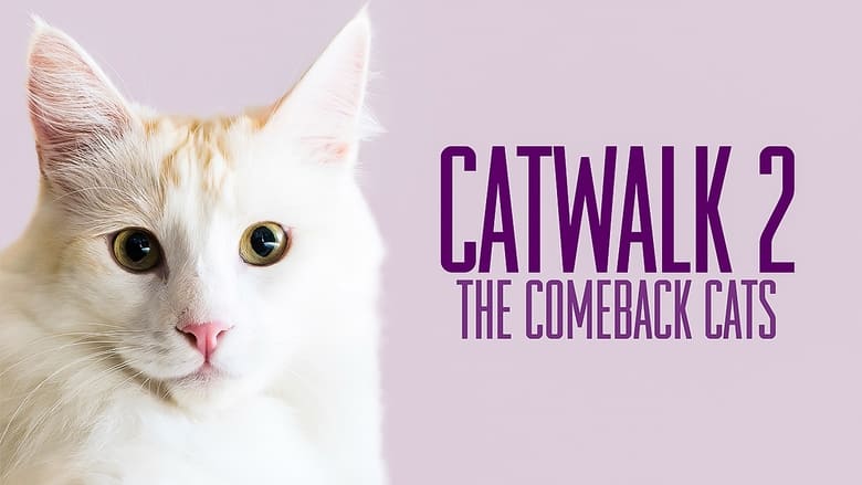 кадр из фильма Catwalk 2: The Comeback Cats
