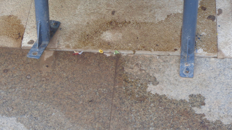 кадр из фильма plats bruts