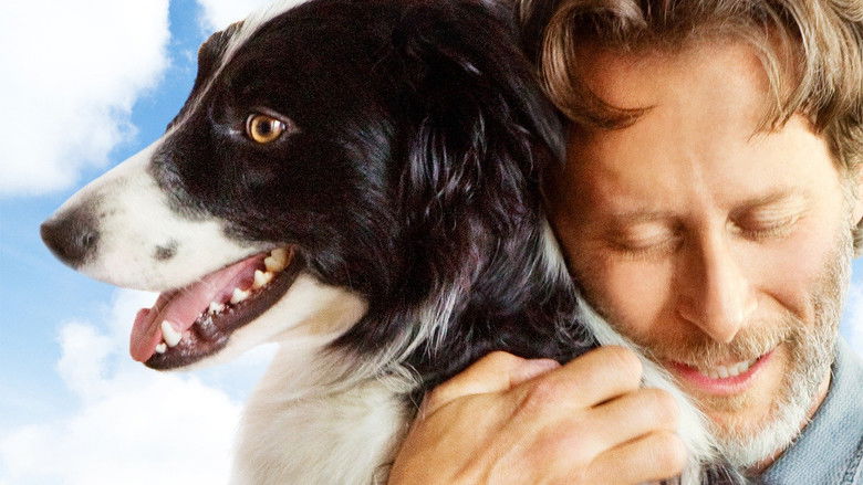 кадр из фильма A Dog Named Duke