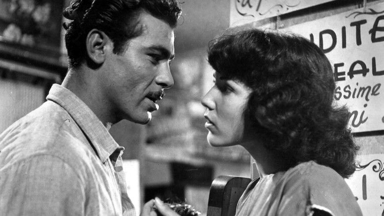 кадр из фильма Два гроша надежды