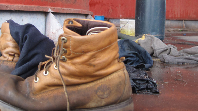 кадр из фильма Il sangue verde