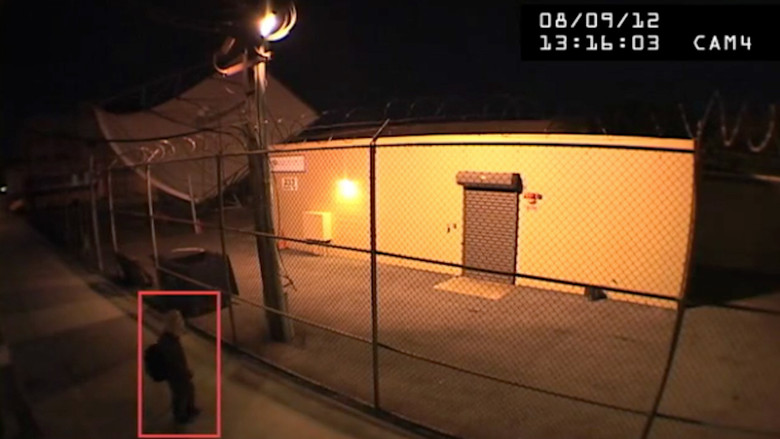 кадр из фильма The Archive