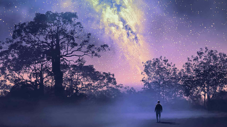 кадр из фильма DER INNERE RUF