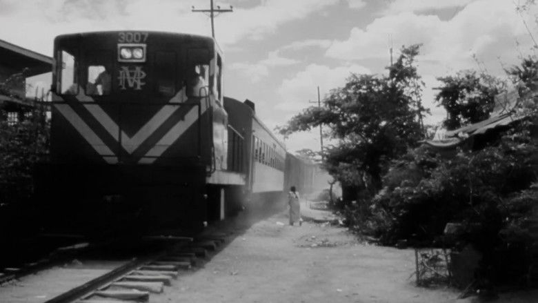 кадр из фильма Malvarosa