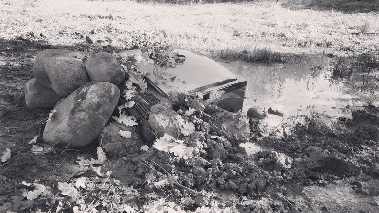 кадр из фильма tVision