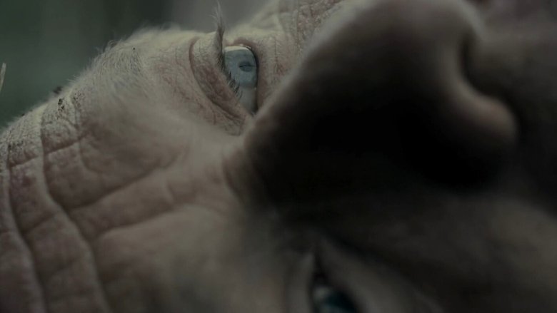 кадр из фильма Тираннозавр