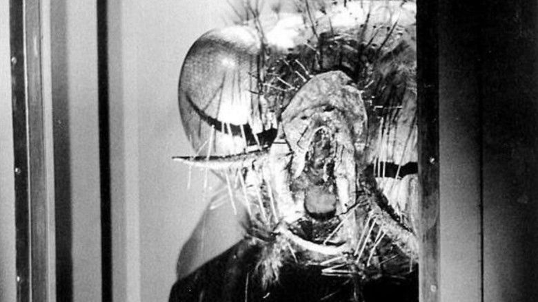 кадр из фильма Возвращение мухи