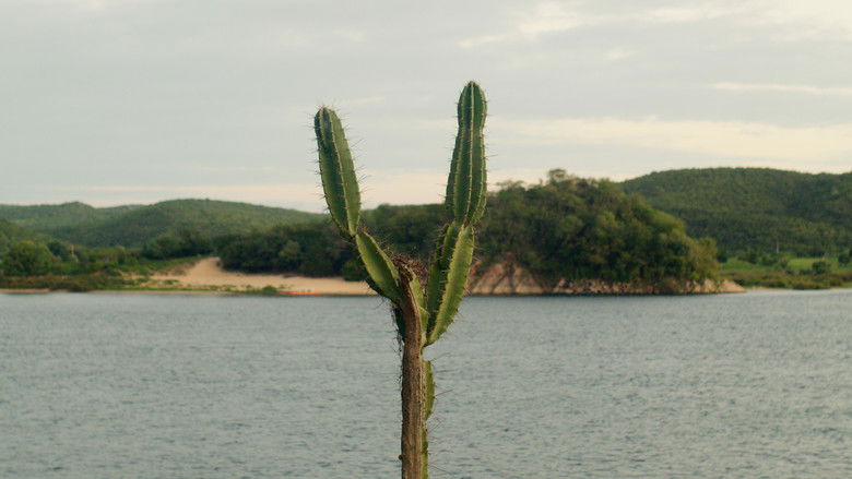 кадр из фильма Coleções