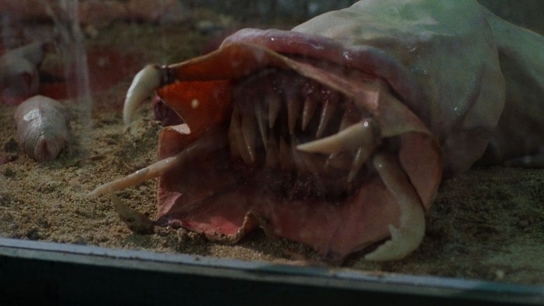 кадр из фильма Презерватив - убийца