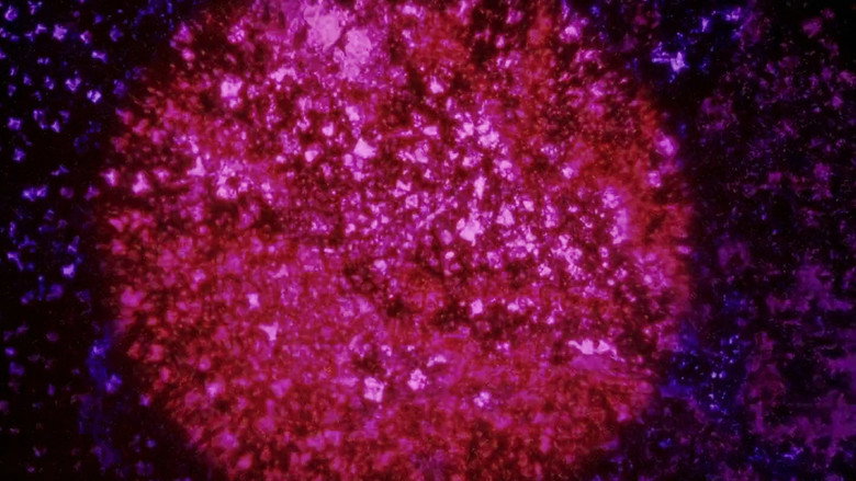 кадр из фильма Instabile Materie