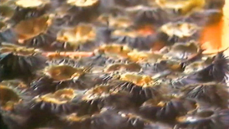 кадр из фильма Coin de cuisine