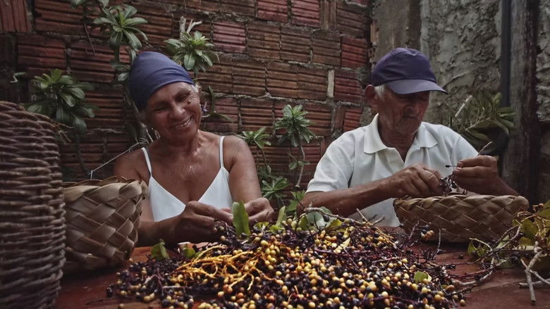 кадр из фильма Bati da Vila