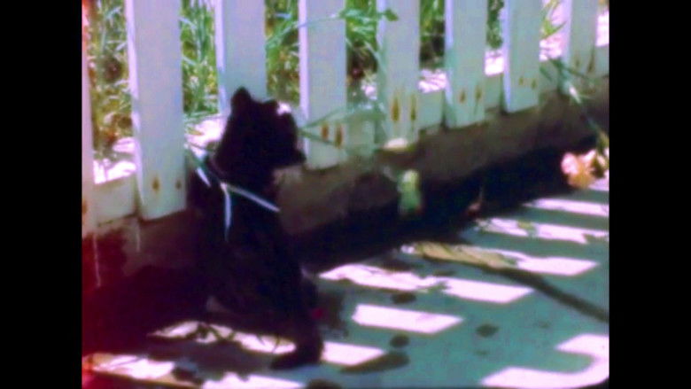 кадр из фильма Signals - Timothy Connon and the Pier