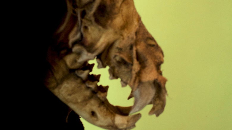 кадр из фильма Painting of a Dog