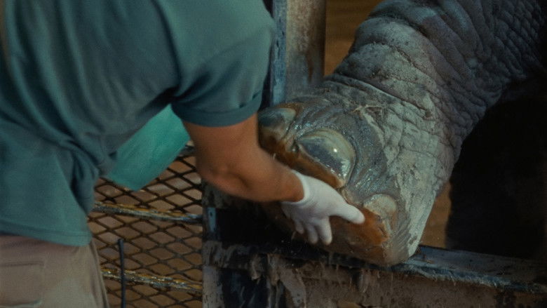 кадр из фильма Monólogo colectivo