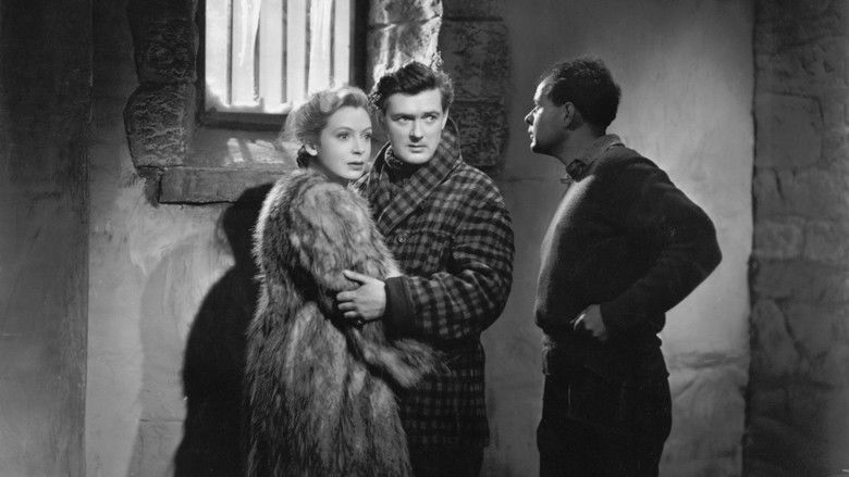 кадр из фильма The Day Will Dawn