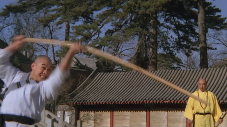 кадр из фильма Храм Шаолинь 3: Боевые искусства Шаолиня