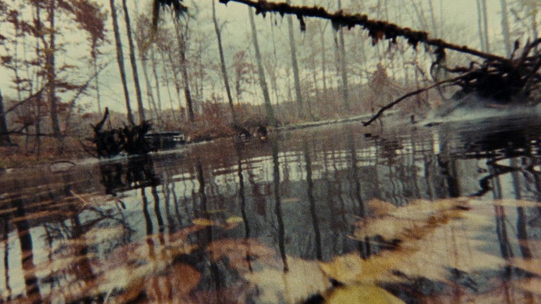 кадр из фильма Зловещие мертвецы