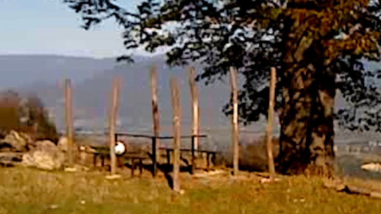 кадр из фильма Сухой лист