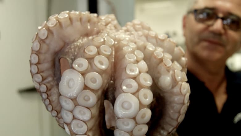 кадр из фильма E il cibo va