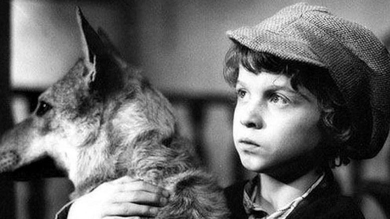 кадр из фильма Pehavý Max a strašidlá