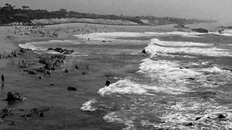 кадр из фильма Miramar, Praia das Rosas