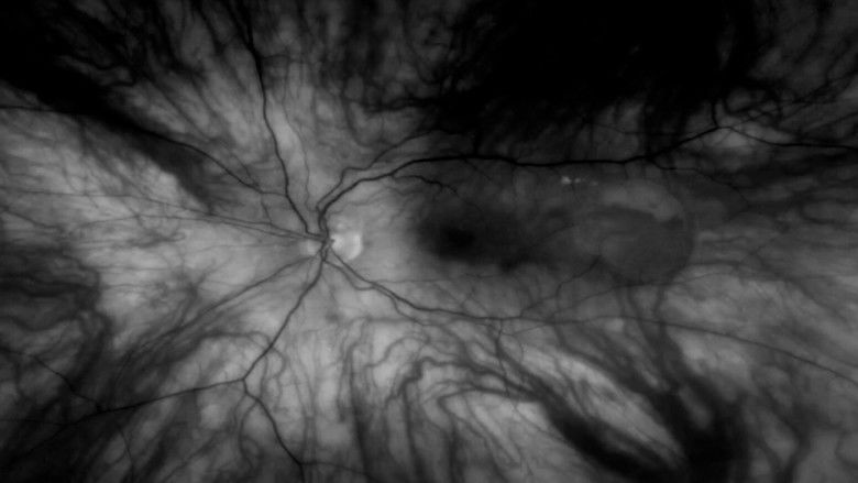 кадр из фильма Marasmo