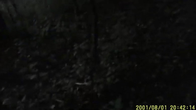 кадр из фильма The Wendigo