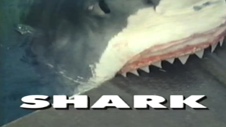 кадр из фильма Predators of the Wild: Shark