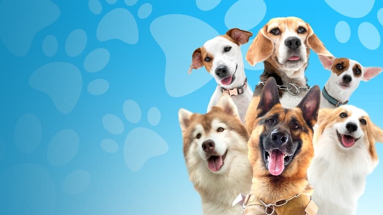 Пушистая братва