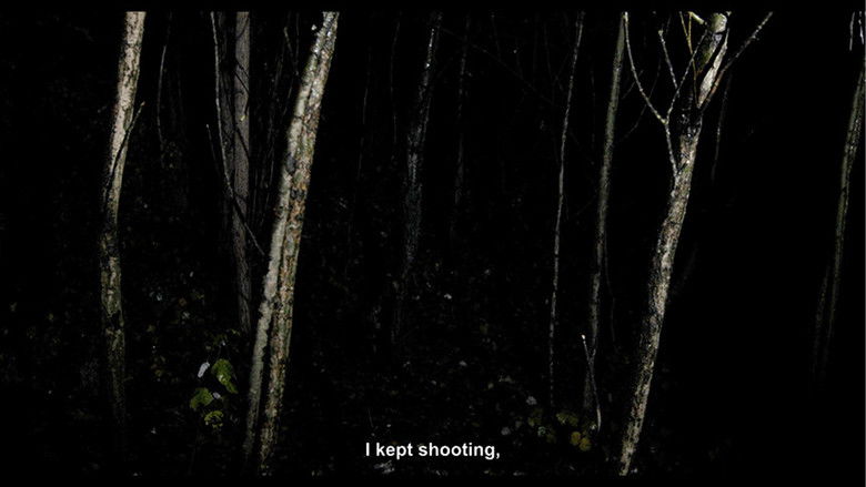 кадр из фильма Despite The Facts