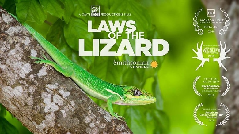 кадр из фильма Laws of the Lizard