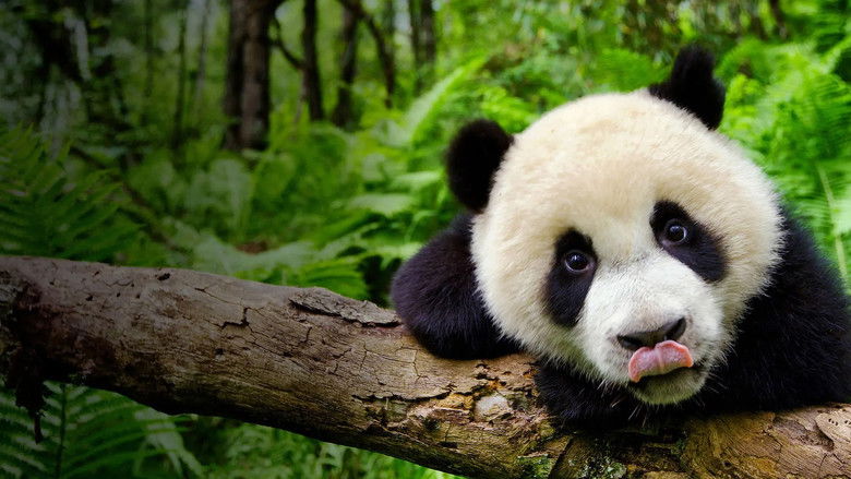 кадр из фильма Земля: Один потрясающий день