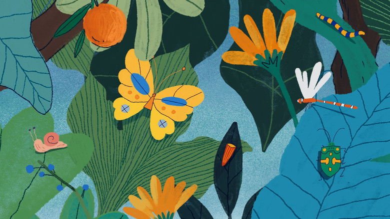 кадр из фильма Kiko et les animaux