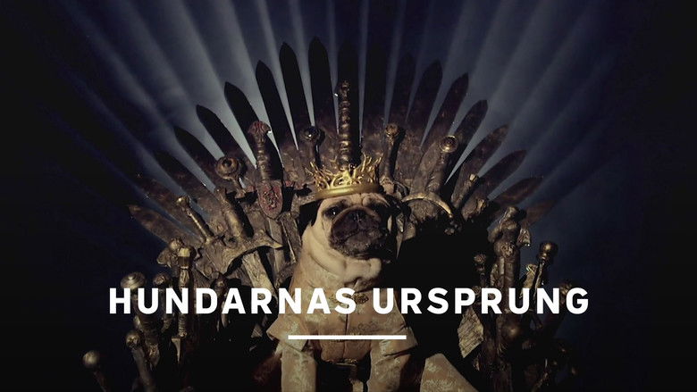 кадр из фильма Comment le chien a conquis le monde