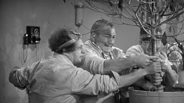 кадр из фильма Some More of Samoa