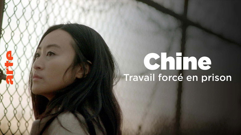 кадр из фильма Travail forcé, le SOS d'un prisonnier chinois