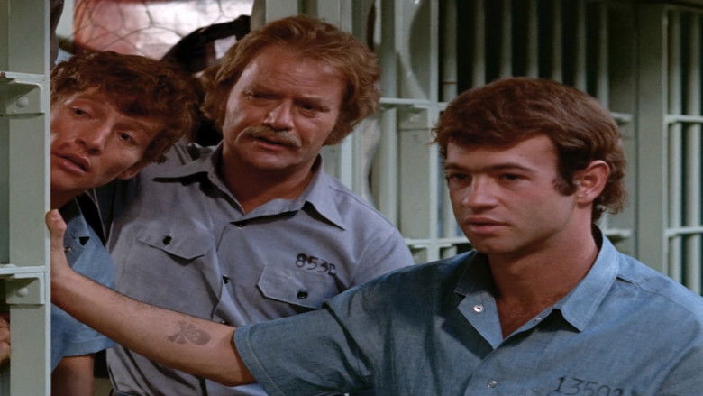 кадр из фильма The Glass House