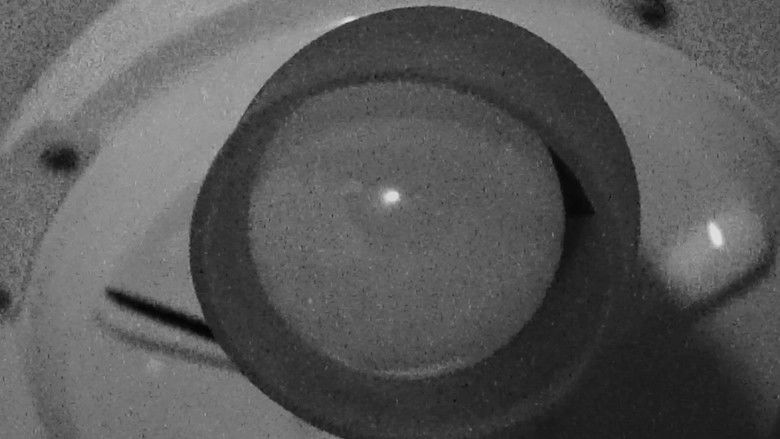 кадр из фильма #7 No Words