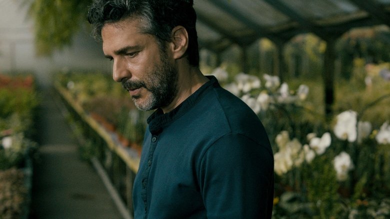 кадр из фильма Молчание неба