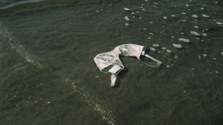 Souvenirs d'une journée parfaite