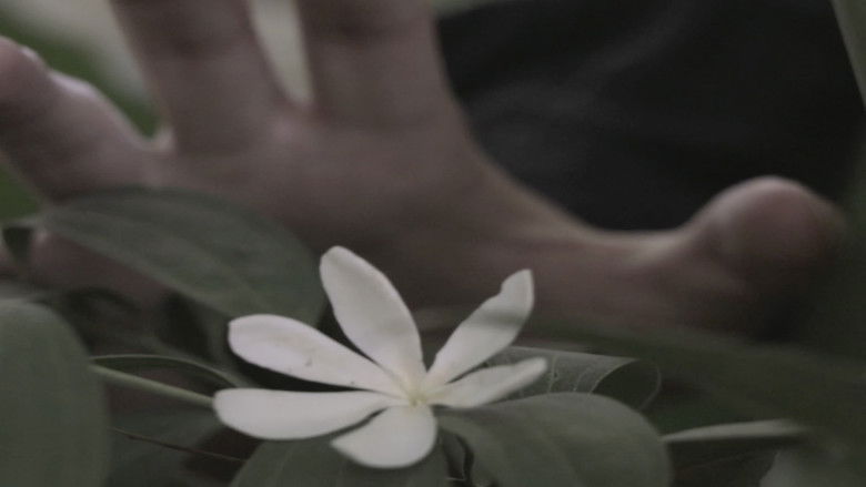 кадр из фильма שעון חול