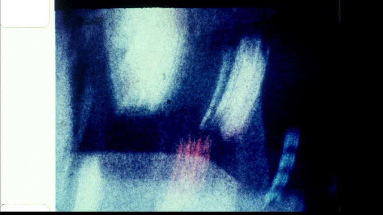 кадр из фильма Echoed Silence