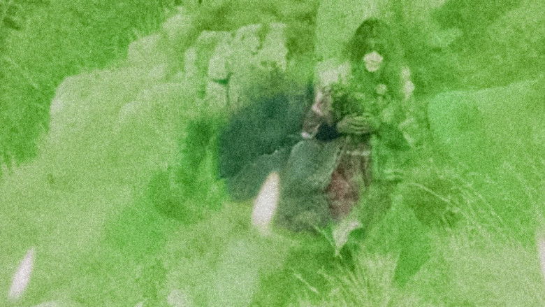 кадр из фильма Positano