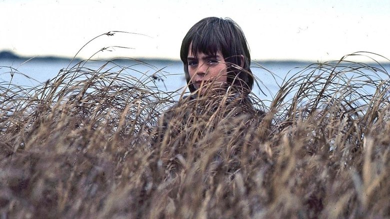 кадр из фильма Мальчик и океан