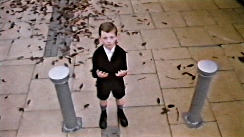 кадр из фильма Visiting Mr Beak